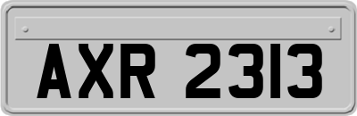 AXR2313