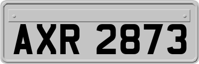 AXR2873