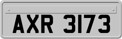 AXR3173