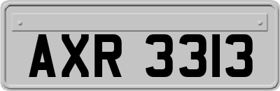 AXR3313