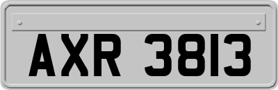 AXR3813