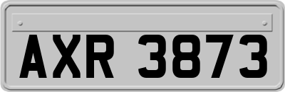 AXR3873