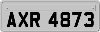 AXR4873