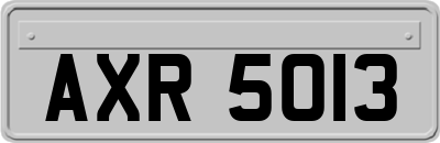 AXR5013