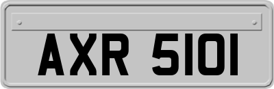 AXR5101