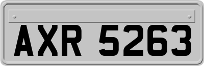 AXR5263