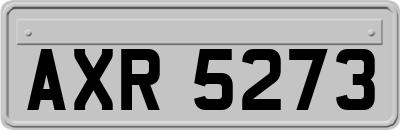 AXR5273