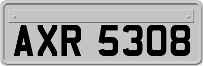 AXR5308
