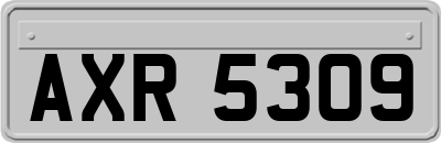 AXR5309