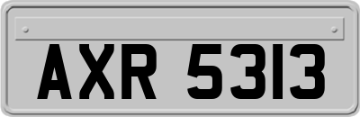 AXR5313