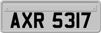 AXR5317