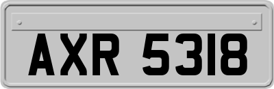 AXR5318