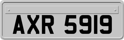 AXR5919