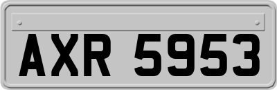 AXR5953