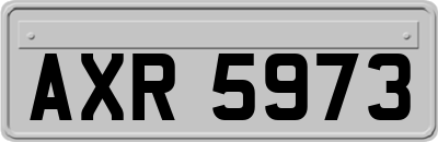 AXR5973