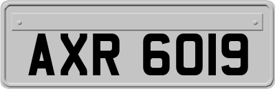 AXR6019