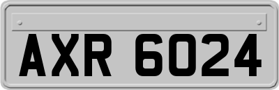 AXR6024