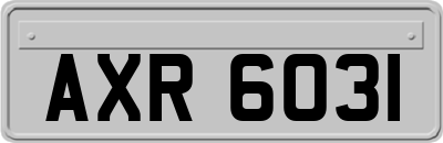 AXR6031