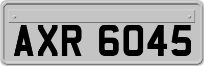 AXR6045