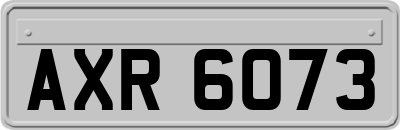 AXR6073