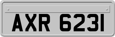 AXR6231
