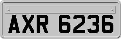 AXR6236
