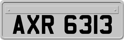 AXR6313