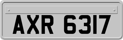 AXR6317