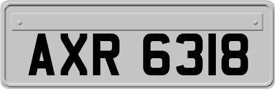 AXR6318