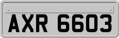 AXR6603