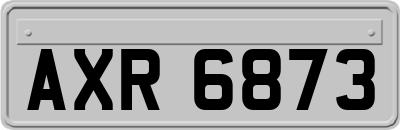 AXR6873