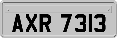 AXR7313