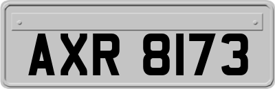 AXR8173