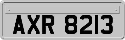 AXR8213