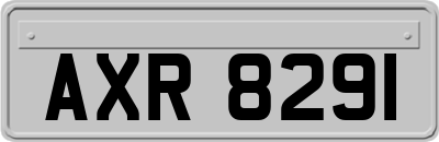 AXR8291