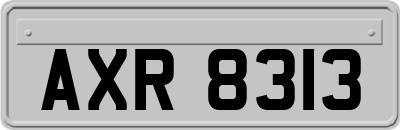 AXR8313