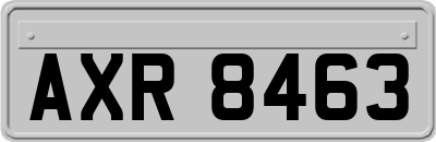 AXR8463