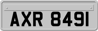 AXR8491