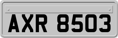 AXR8503