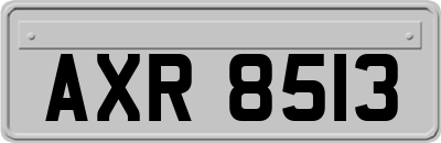 AXR8513