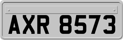 AXR8573