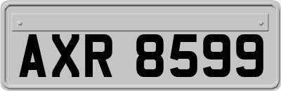 AXR8599