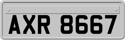 AXR8667