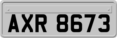 AXR8673