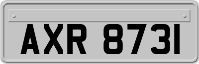 AXR8731