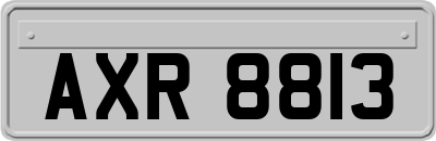 AXR8813