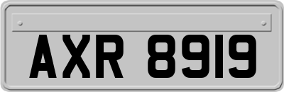 AXR8919