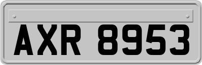 AXR8953