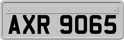 AXR9065