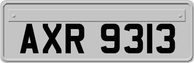 AXR9313